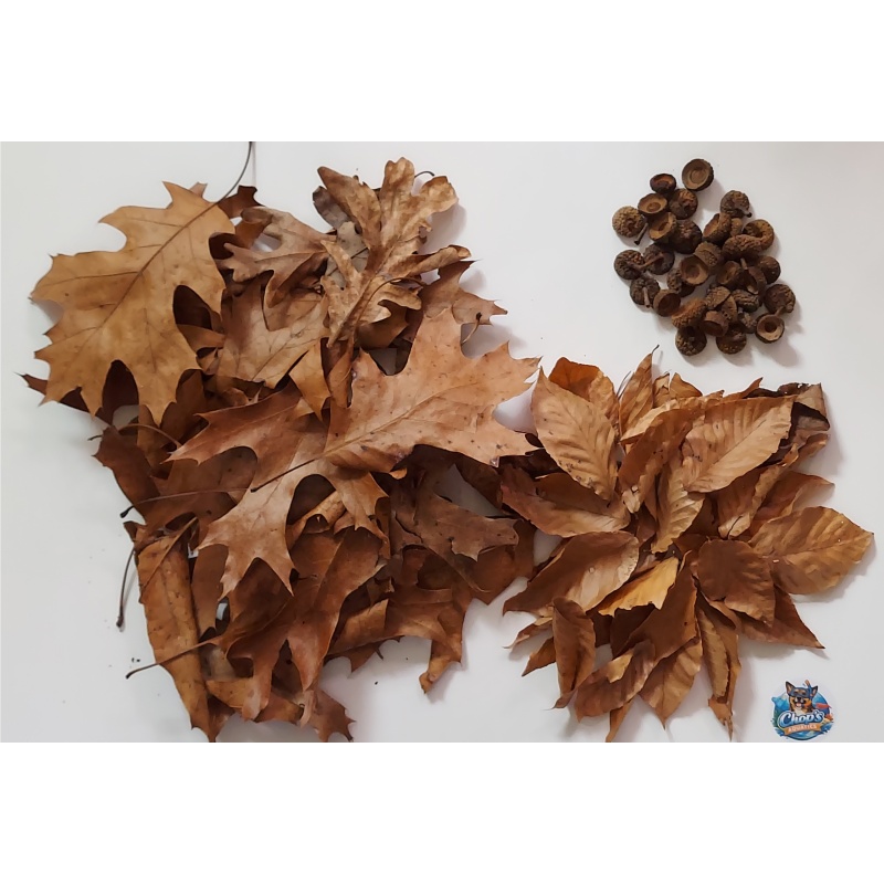 Mixed Botanical Pack