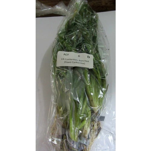 8 bunches contort val
