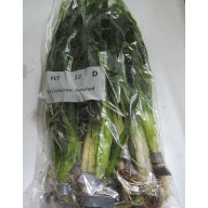 8 bunches corkscrew val