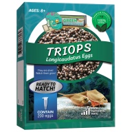 Triops Longicaudatus Eggs