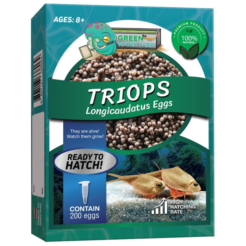 Triops Longicaudatus Eggs