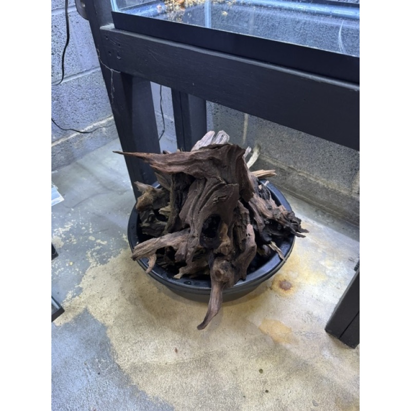 Fish Room Closeout! Tank, stands, heaters,