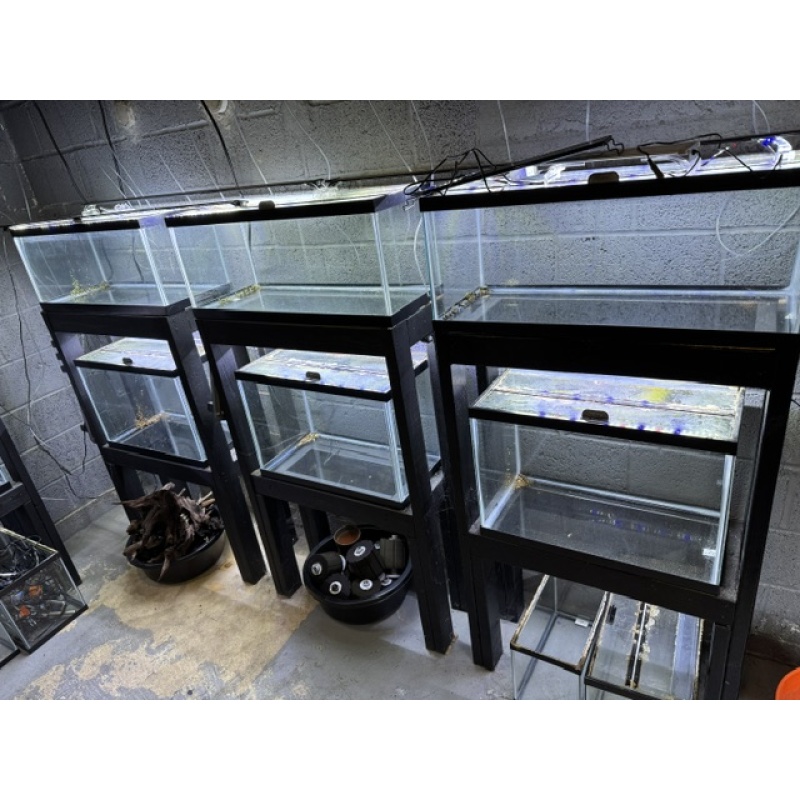 Fish Room Closeout! Tank, stands, heaters,