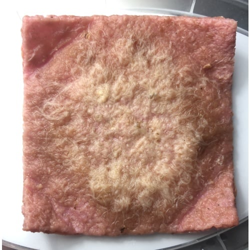 Grindal Worms on Sponge Pad (EU/UK)