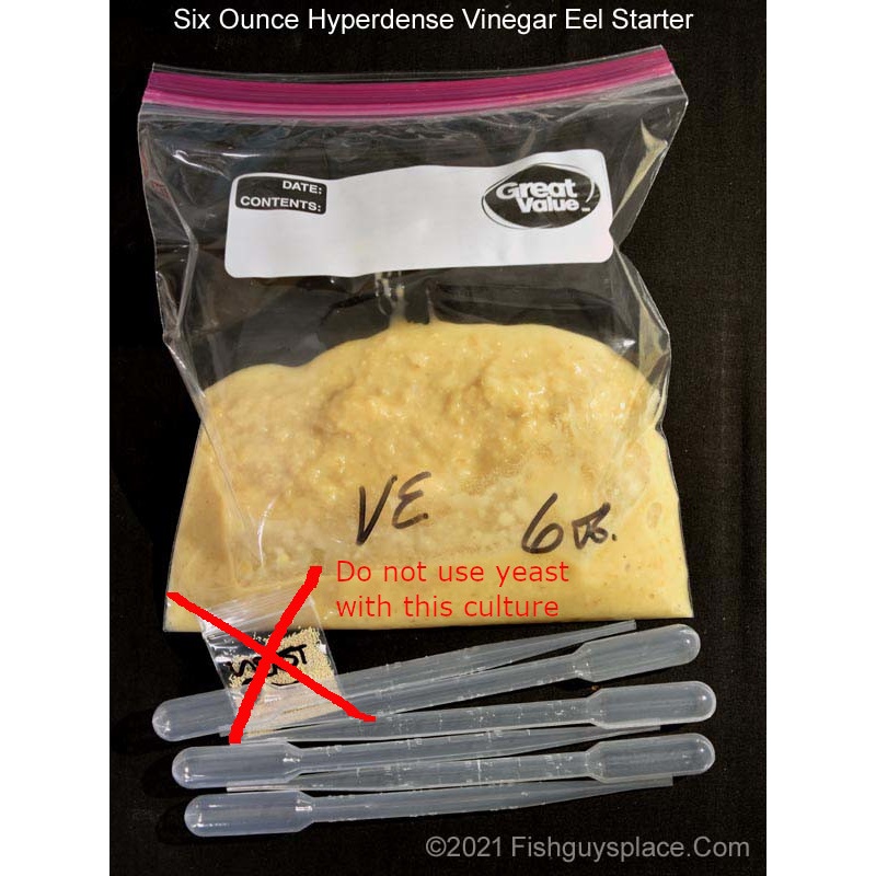 Hyperdense Solid Media Vinegar Eel Culture - Culture Vinegar Eels Like Micro Worms - Thorough Instructions Provided With Culture