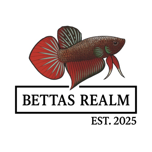 Bettas Realm