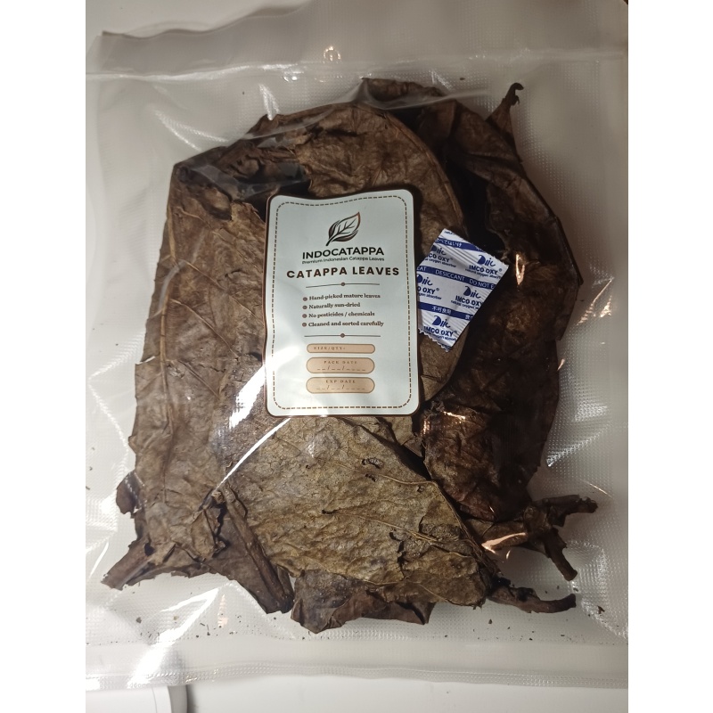 Premium Fermented Catappa Leaves – Strong Tannins for Betta & Shrimp Tanks