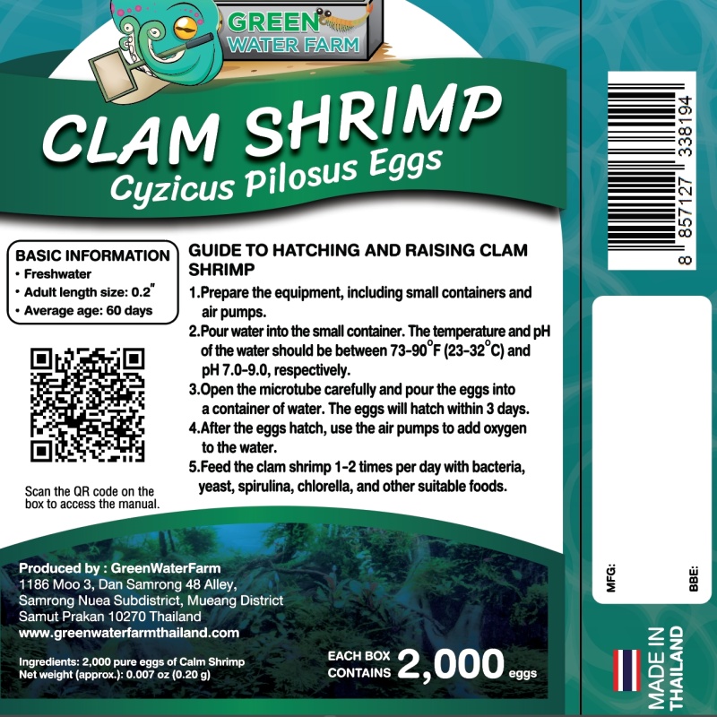 Clam Shrimp Cyzicus Pilosus Eggs