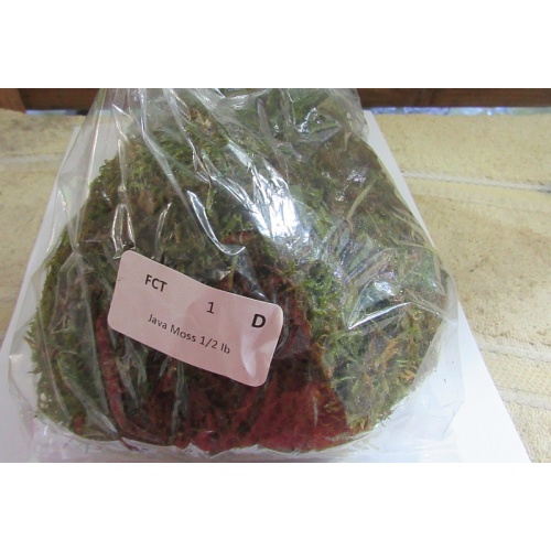 1/2 lb java moss