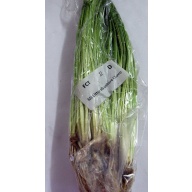 12 Littorella Uniflora