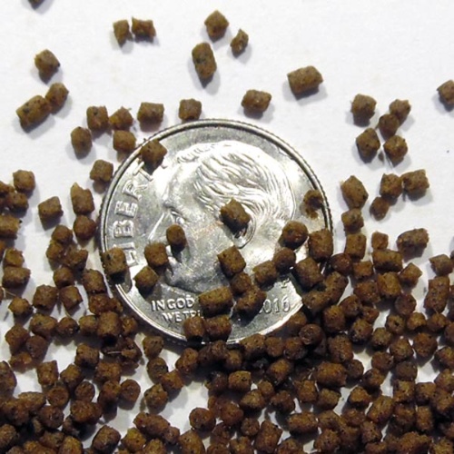 Mini Pellet - Phase 4 Food - 48% Protein - 4 oz. - Quarter Pound