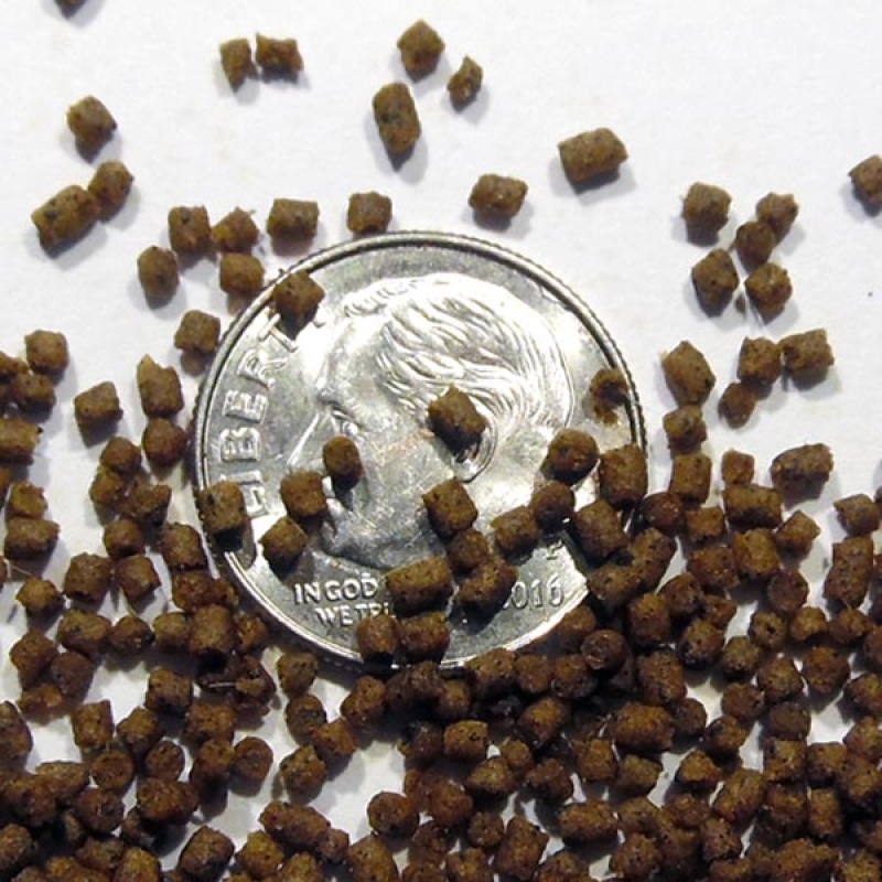 Mini Pellet - Phase 4 Food - 48% Protein - 4 oz. - Quarter Pound