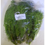 12 bunches, 36 plus stems of parrot feather