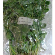 12 bunches, 36 plus stems of rotala red