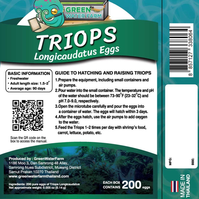 Triops Longicaudatus Eggs