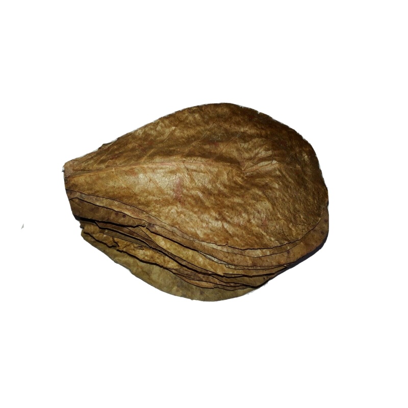120g LARGE Indian Almond Catappa Ketapang Leaf Leaves Aquarium Betta Fish Shrimp