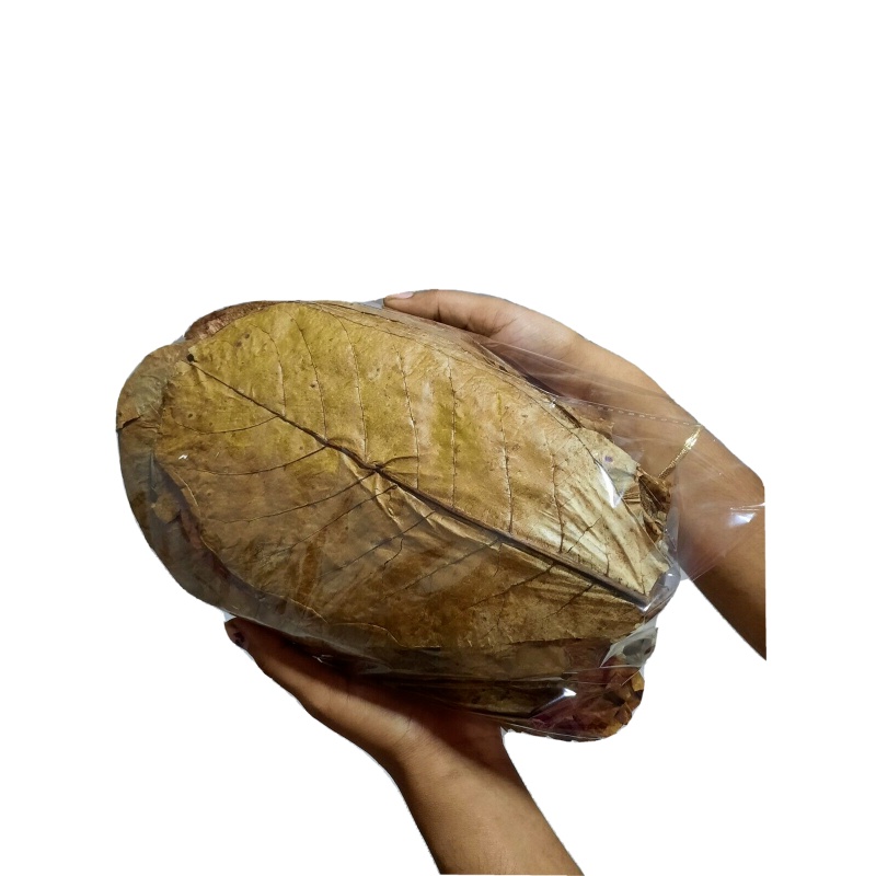 120g LARGE Indian Almond Catappa Ketapang Leaf Leaves Aquarium Betta Fish Shrimp