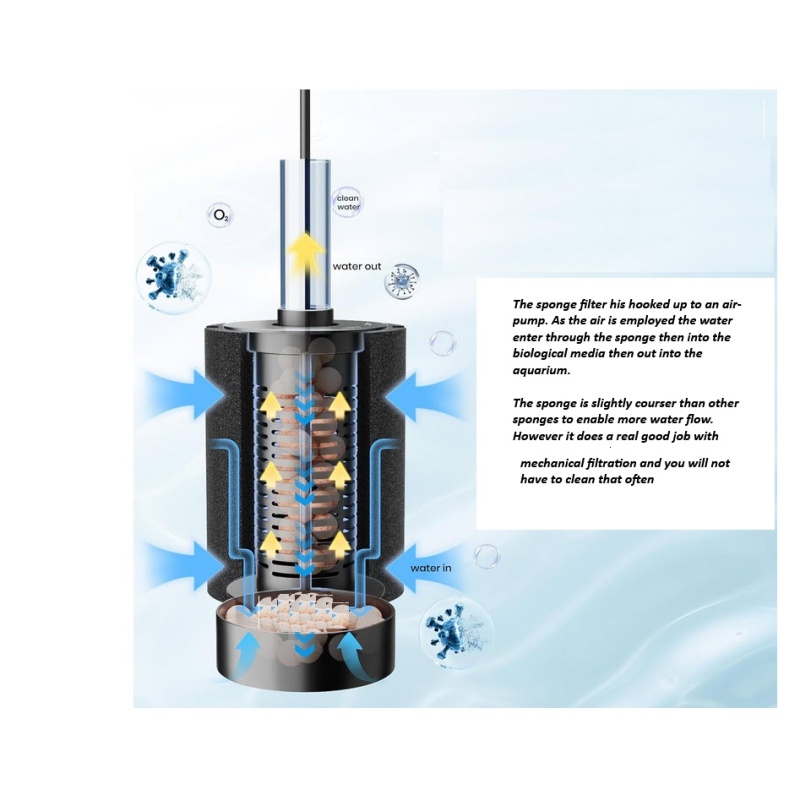 New sponge filter technology  The Combo Sponge
