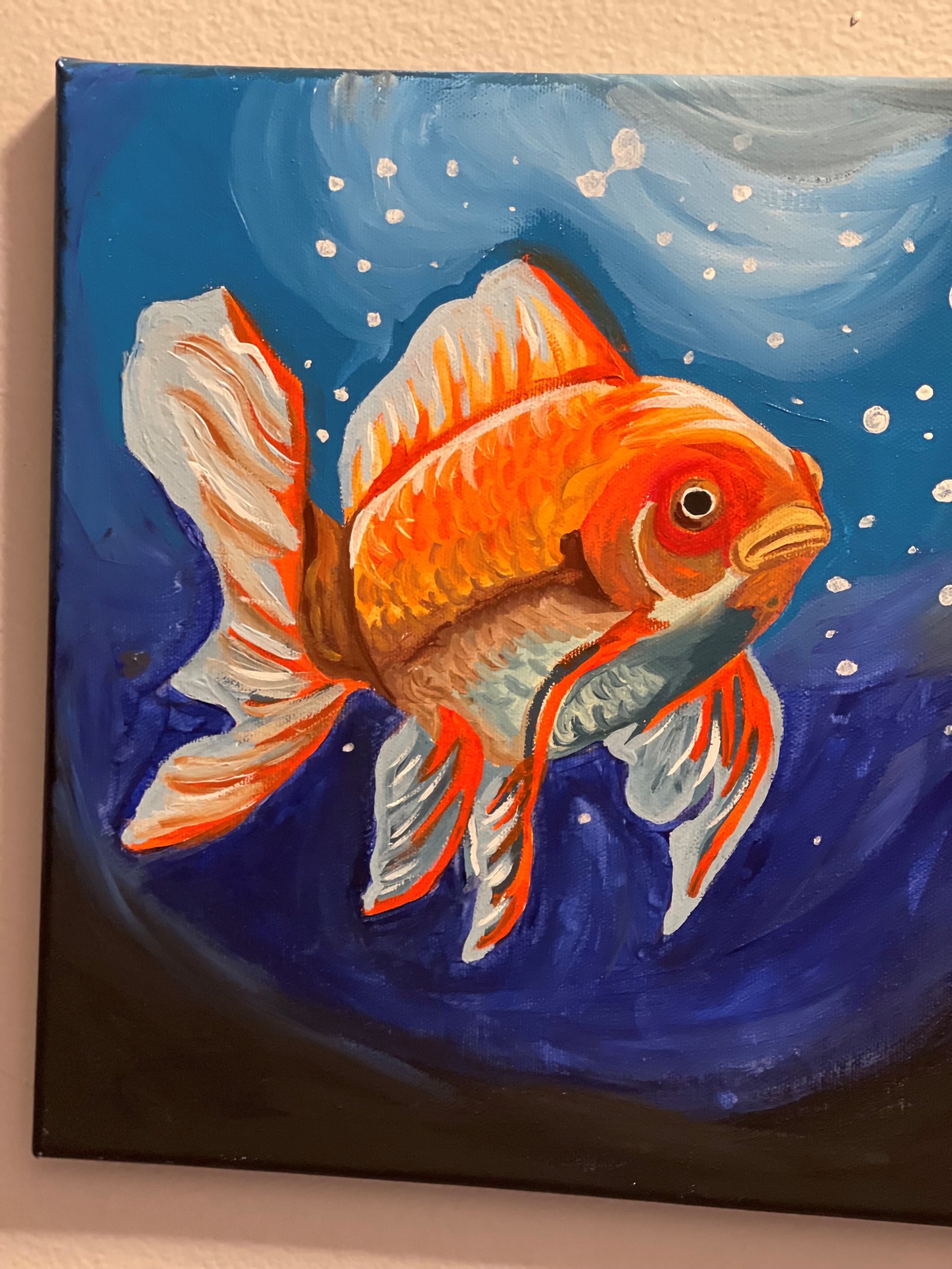 Store: Aquatic Gold FL