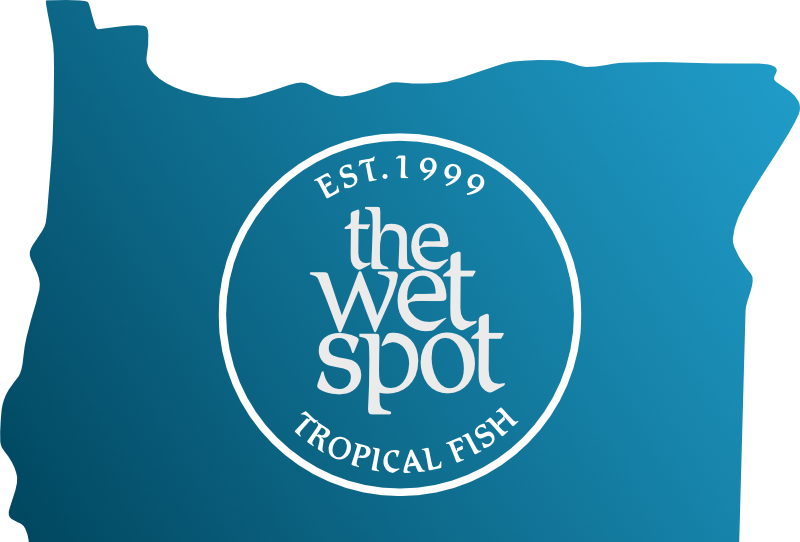 Store: The Wet Spot Tropical Fish